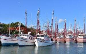 Verificaron observadores de EU las diferencias del programa de protección a tortugas