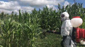 Nuevo revés al uso del glifosato en México promovido por el CNA