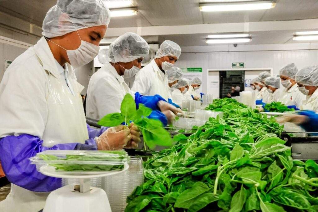Fortalecen México y Canadá sistema de inocuidad alimentaria