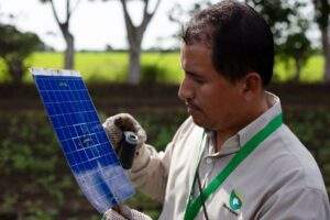 Trabaja México con FAO en estudio de impacto climático en plagas vegetales