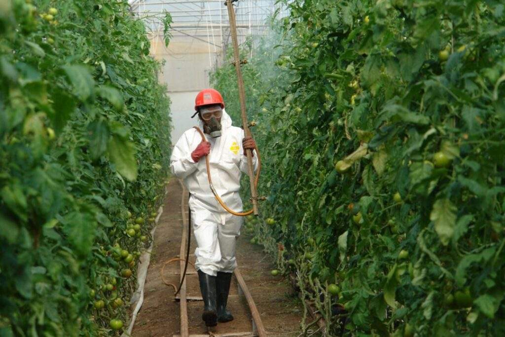 El 1o. de julio Día Nacional de la Sanidad Vegetal