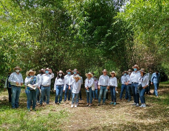Alianza Inifap y Volkswagen para la conservación de la selva baja en Puebla