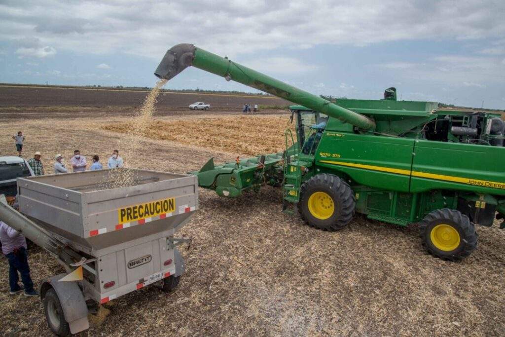 Iniciarán Sader y Conacyt proceso para sustitución gradual de agroquímicos