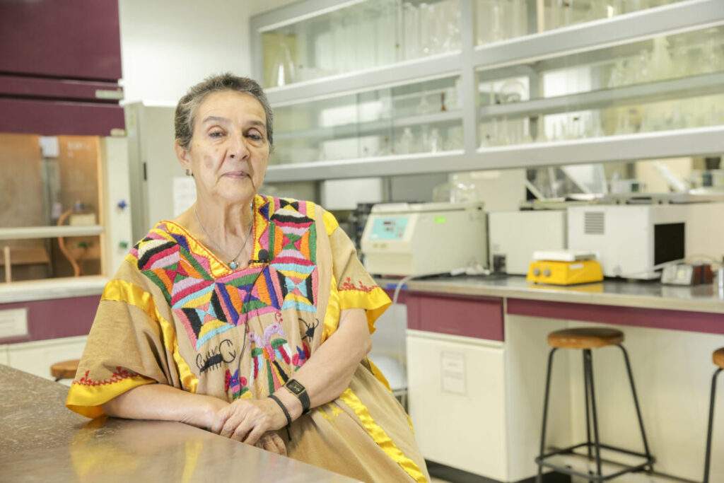 Aumentará la reproducción de sargazo revela investigadora del IPN