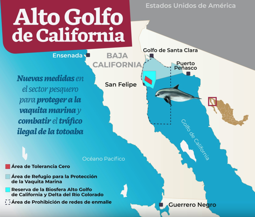 Nuevos indicadores para proteger a la vaquita marina en el Alto Golfo de California