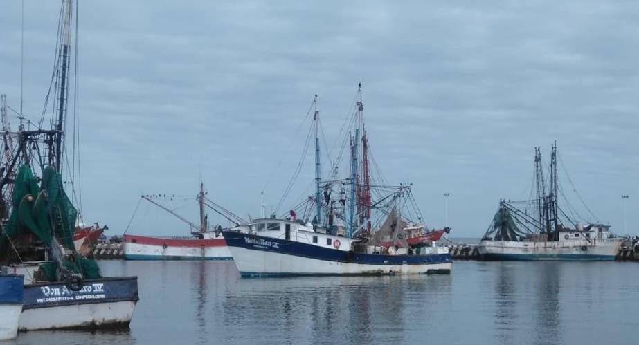 Trabaja México para recuperar por EUA certificación de captura de camarón