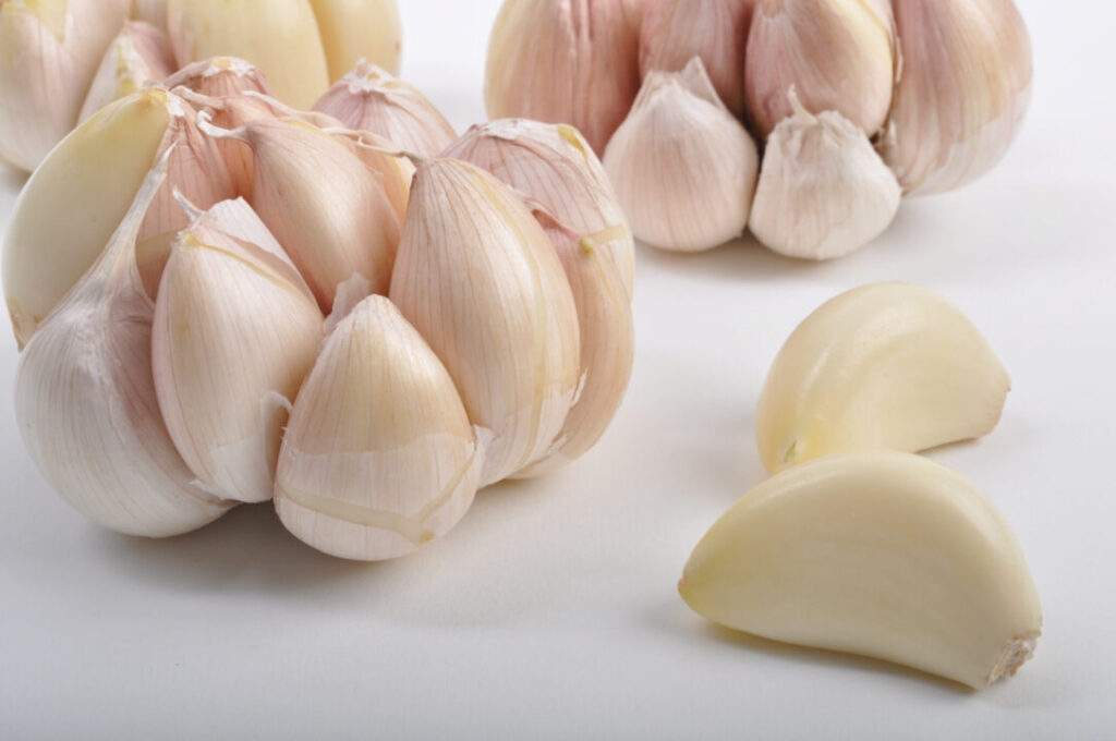 Con alto valor nutritivo aumenta la producción y exportación de ajo