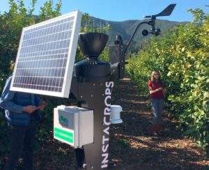 Llega a México el Internet de las Plantas
