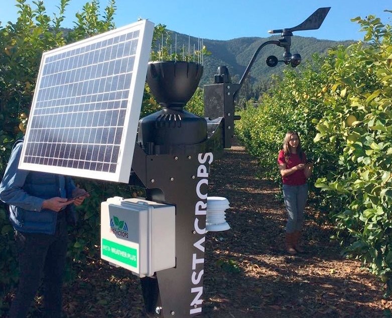 Llega a México el Internet de las Plantas