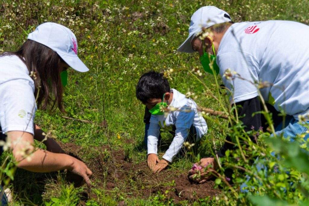 Décima jornada de reforestación de la Fundación Grupo México