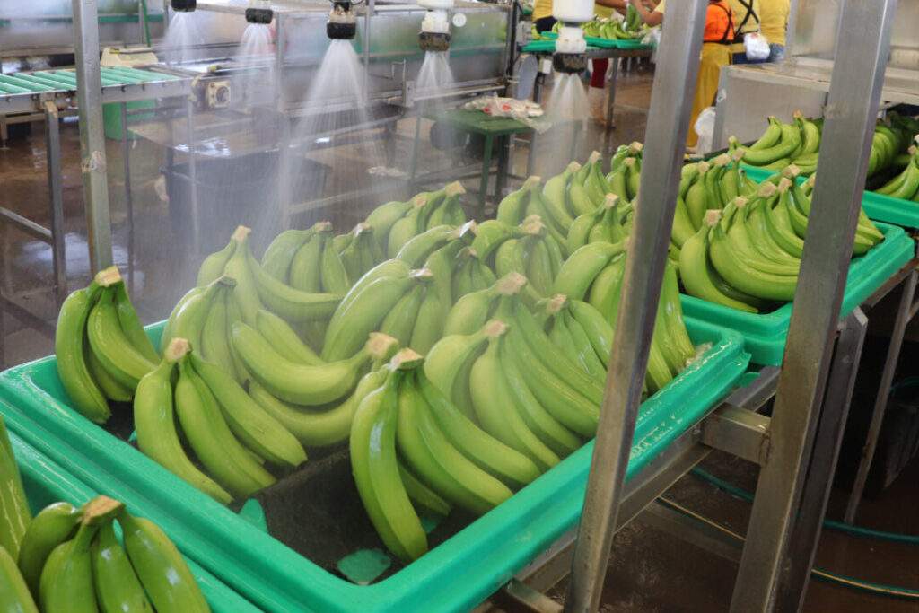 Consolidan México y EUA alianza por la inocuidad alimentaria