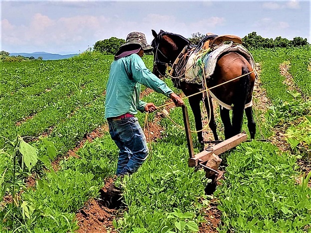 Modelo “Paisano apoya a tu gente” para financiar al sector rural