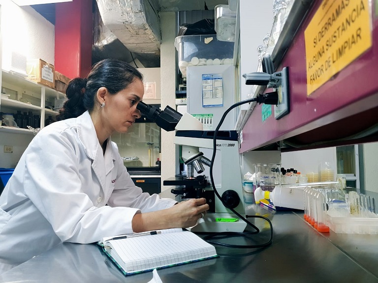Desarrollan en el IPN bacterias contra químicos de plaguicidas