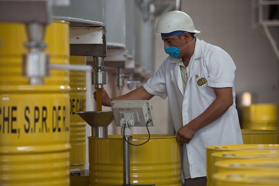 Primer sitio web sobre la apicultura elaborado por INEGI y Sader