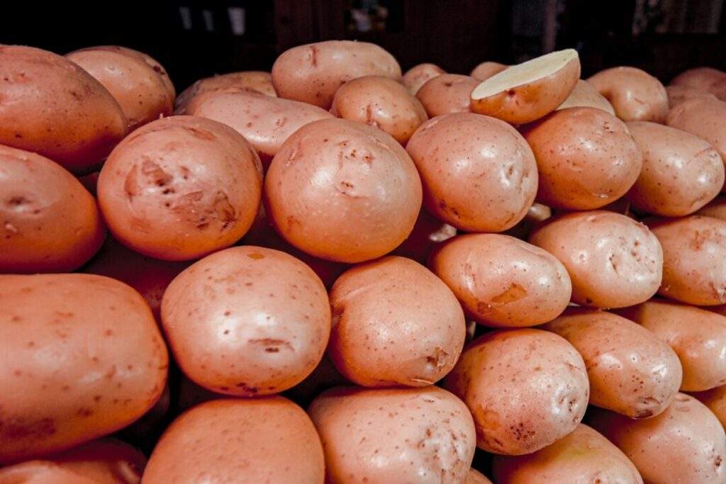Medidas fitosanitarias para importar papa fresca de EUA