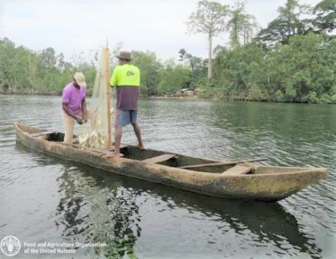 Año de la Pesca y Acuicultura Artesanales en América Latina y el Caribe en 2022