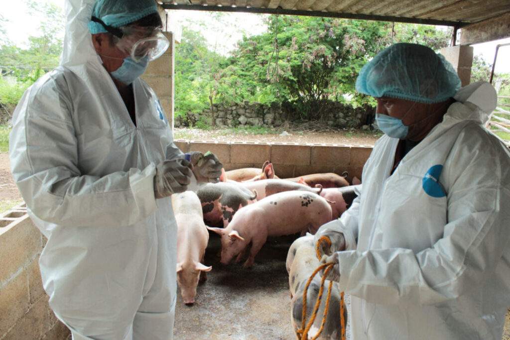 México y Dinamarca preparados para enfrentar contingencias sanitarias