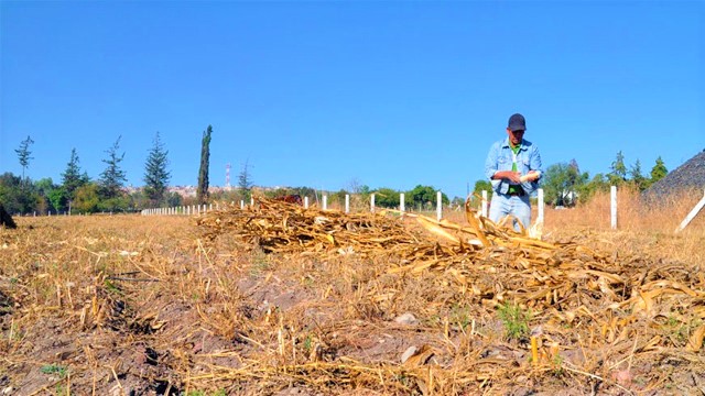 Carecen pequeños productores agropecuarios de financiamiento: RMA