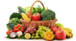 Actualización de las actividades agropecuarias y forestales en el Censo 2022