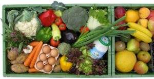 México importante socio con Alemania en producción agroalimentaria