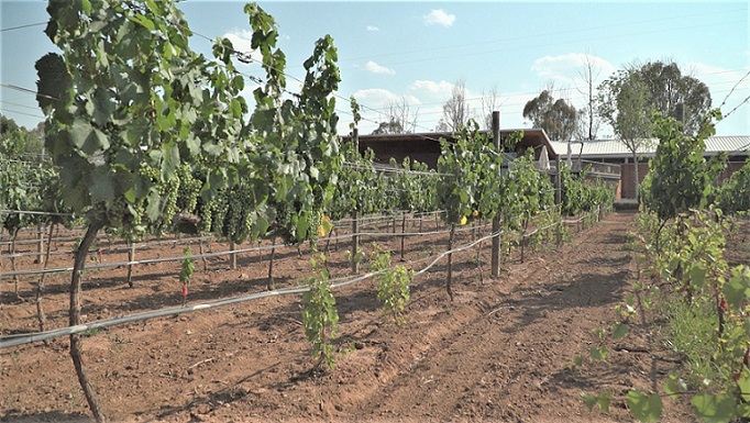 Reorienta Sader y Colpos proyectos productivos pesqueros y acuícolas