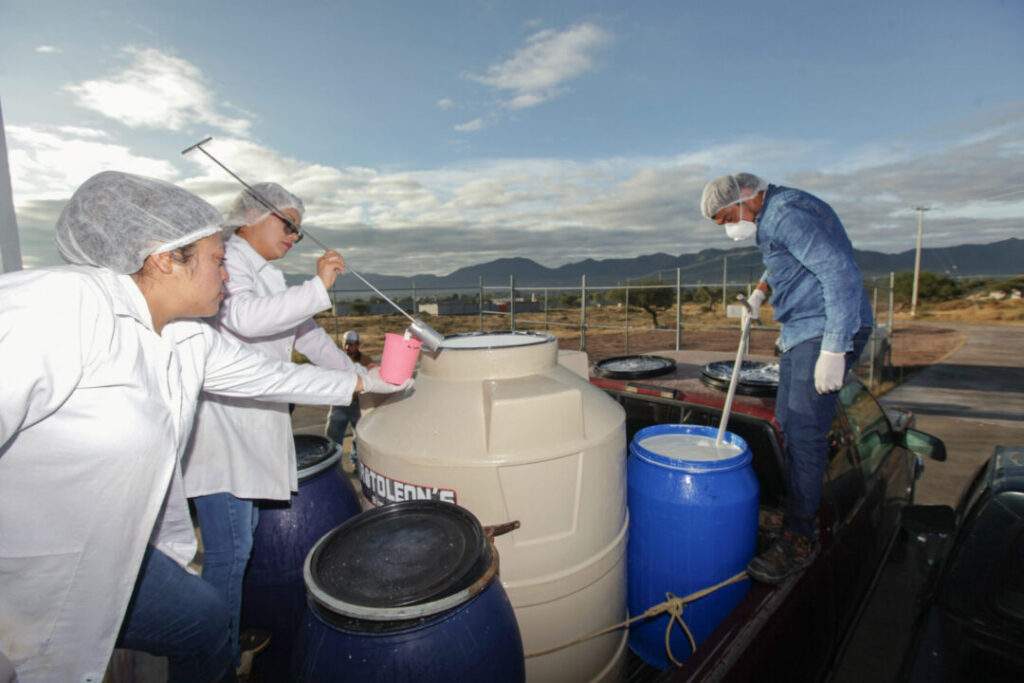 Asegurar autosuficiencia alimentaria con el Programa de Sanidad 2022: Sader