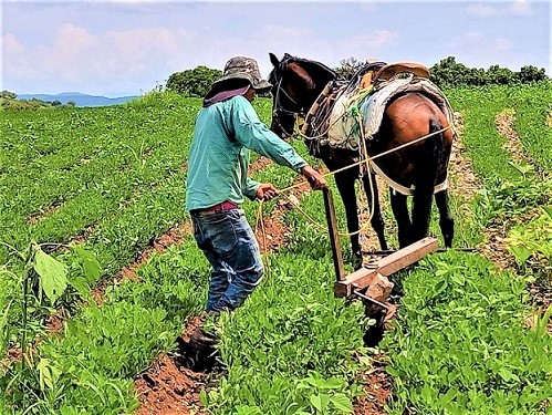 Acciones para unidades productivas de menos de 20 hectáreas
