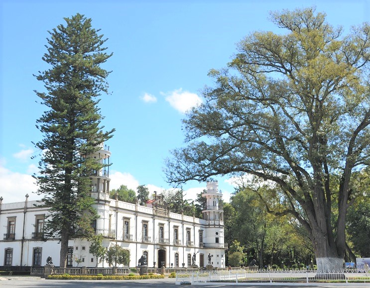 Regreso presencial a clases para abril en Chapingo