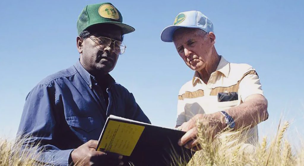 Galardona la India a científico mexicano del CIMMYT