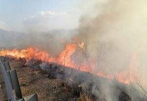 Chiapas el más afectado por los incendios y pérdida de cobertura arbórea