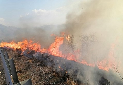 Chiapas el más afectado por los incendios y pérdida de cobertura arbórea