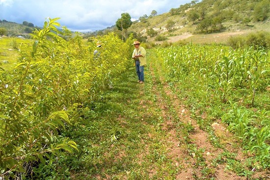 Capacitación a comunidades indígenas para obtención de créditos: FND