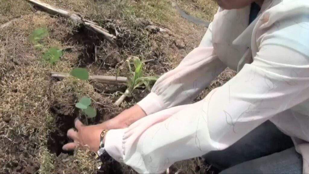 Programa a estudiantes de Ucrania de ciencias agrícolas: IILCA