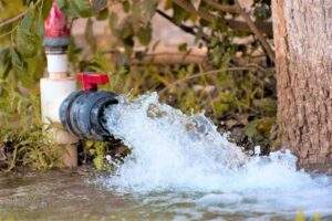 Acciones de la autoridad para asegurar abasto de agua potable: Senado