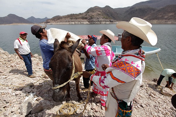 Visibilizan diputados a pueblos indígenas y afromexicanos
