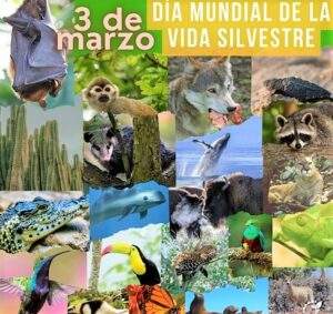Vida Silvestre2