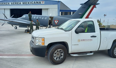 Logra bombardeo de nubes recarga acuífera y combate de incendio en NL