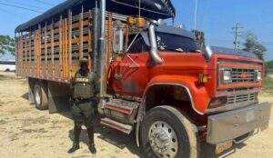 Aumentan penas contra el comercio ilegal de ganado