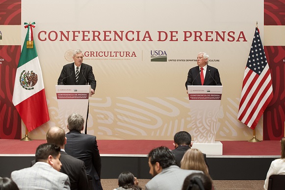 Concluyen protocolos fitosanitarios para acceso de papa fresca de EUA