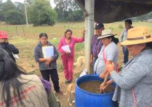 Apoya Irlanda y FAO a mujeres emprendedoras rurales de Jalisco