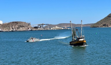 Aseguran embarcación con producto del mar en temporada de veda