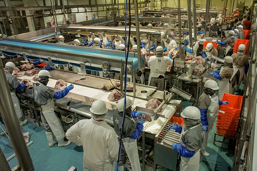 Alza en el valor de las exportaciones agroalimentarias