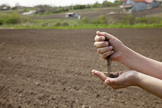 Inicia en México la estrategia de suelo para la agricultura sustentable