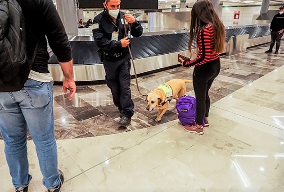 Refuerza Agricultura vigilancia agroalimentaria por vacaciones