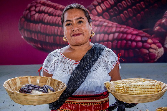 Día Nacional del Maíz festejo de las comunidades campesinas e indígenas