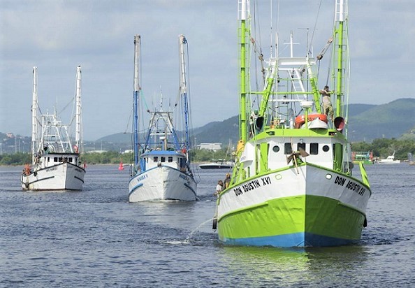 Zarpan barcos camaroneros en el Pacífico y Golfo de California