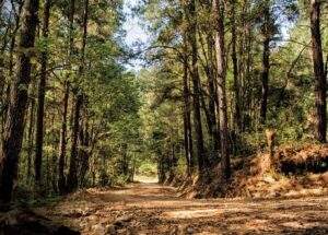 Concentra Conagua 90.5% del presupuesto 2023 en materia ambiental