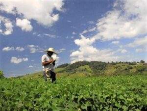 Reitera Financiera Nacional de Desarrollo que no desaparecerá