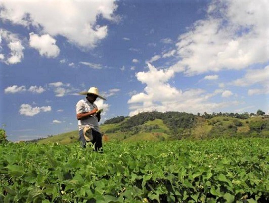 Reitera Financiera Nacional de Desarrollo que no desaparecerá