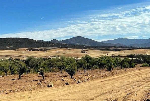 Convertido el Valle de Guadalupe en el antro más grande de BC